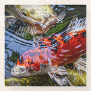 Japanese Koi Fish Pond Glass Coaster