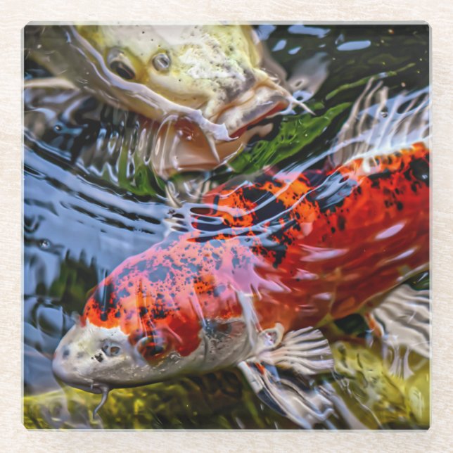 Japanese Koi Fish Pond Glass Coaster (Front)