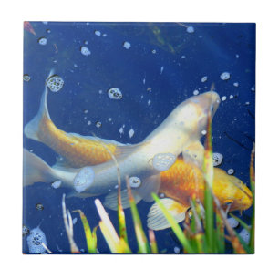 japanese koi pond tile