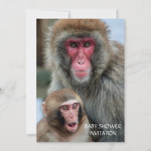 Japanese Macaque Monkeys Baby Shower Invitation
