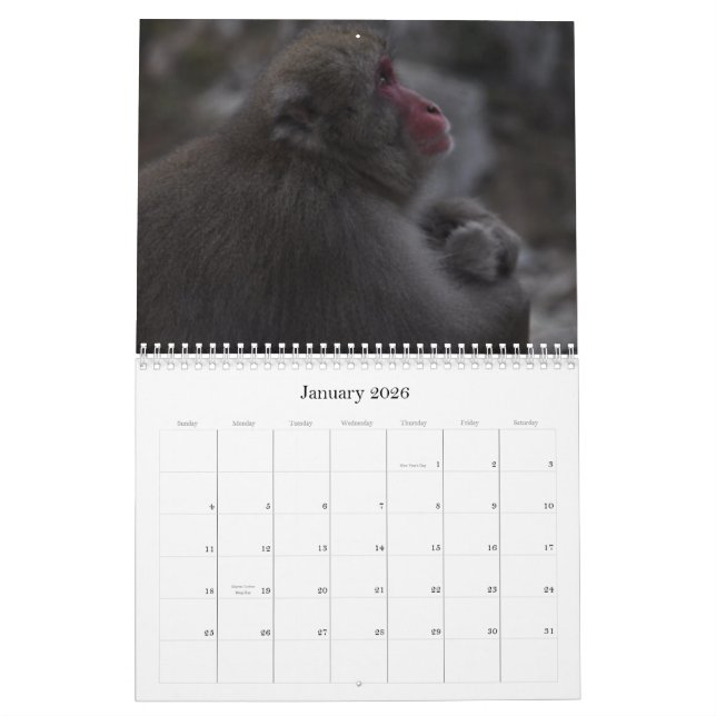Japanese Macaques Calendar (Jan 2026)
