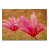 Japanese Magnolia (Front Horizontal)