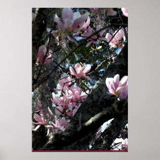 Japanese Magnolia Art Poster -24x36 -other sizes