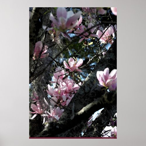 Japanese Magnolia Art Poster _24x36 _other sizes