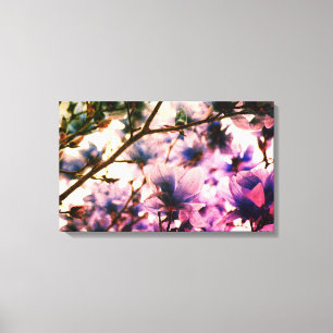 Japanese Magnolia Canvas Print