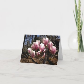 Japanese Magnolia Note Card by CoutureDesigns at Zazzle