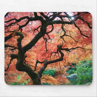 Japanese maple 1 mouse pad