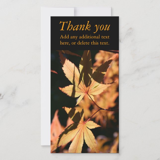 Japanese Maple 1a Autumn Colors Thank You PhotoC Card (Front)