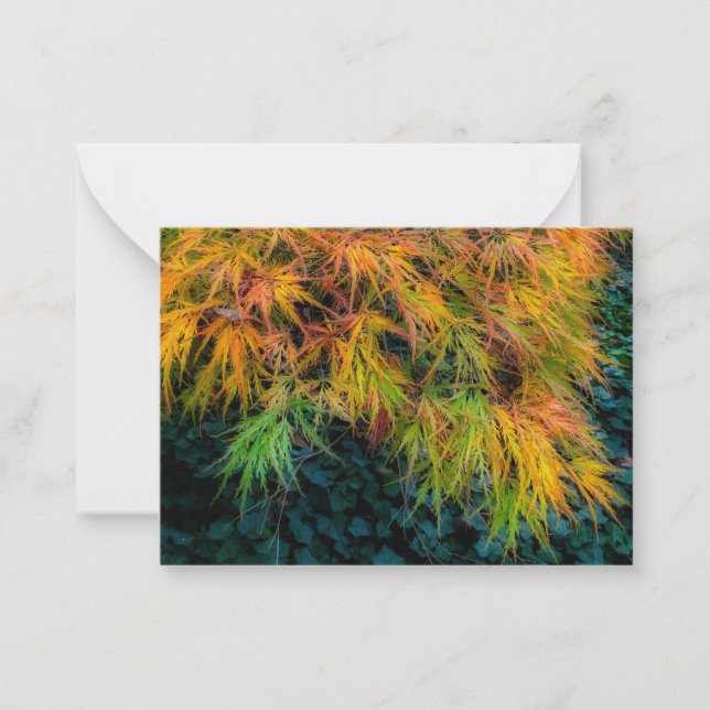 Japanese Maple Autumn Impressions Note Card (Front)