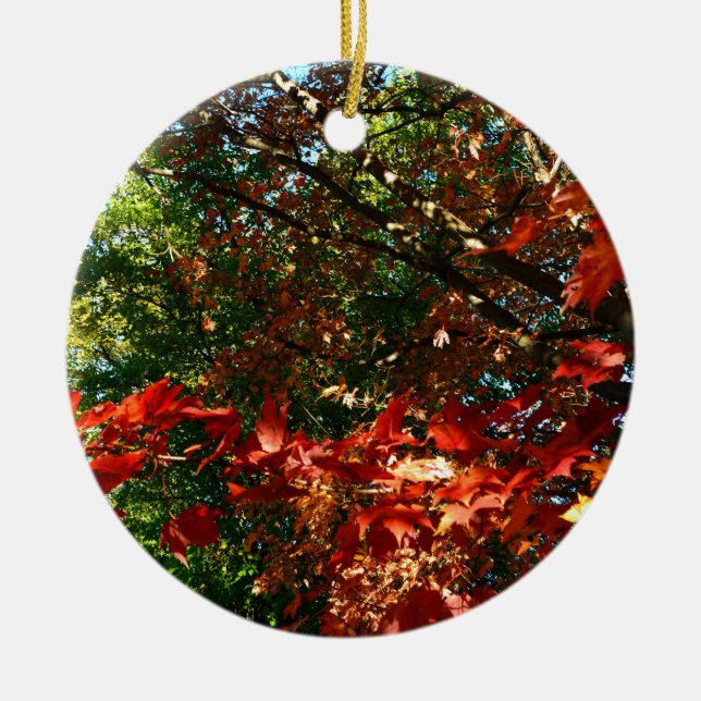 Japanese Maple, Autumn tree leaves Ceramic Ornament (Front)