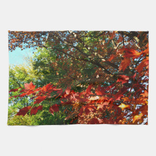 Japanese Maple, Autumn tree leaves Kitchen Towel