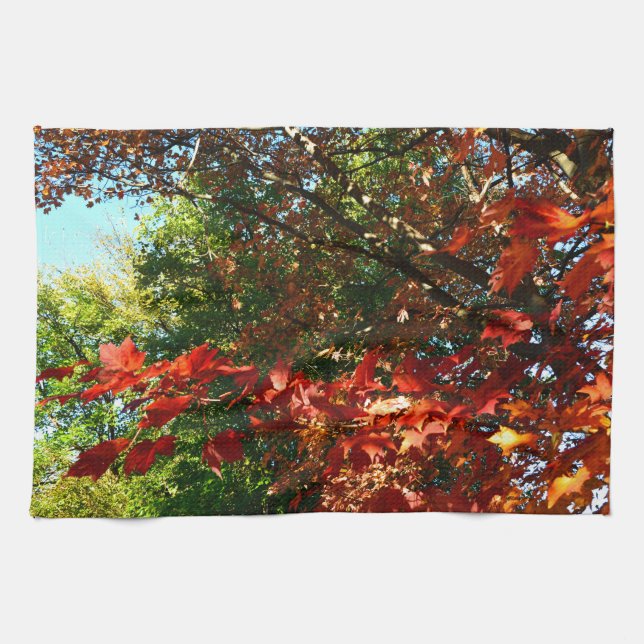 Japanese Maple, Autumn tree leaves Kitchen Towel (Horizontal)
