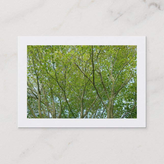 Japanese Maple (Bordered) Business Card (Front)