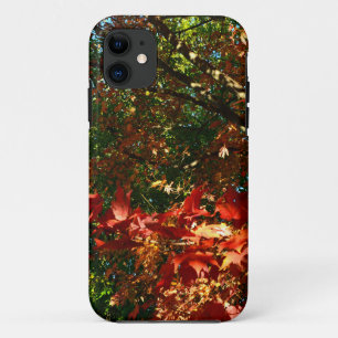 Japanese Maple in Autumn iPhone 11 Case