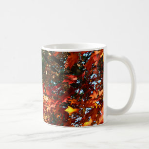 Japanese Maple in Autumn Coffee Mug