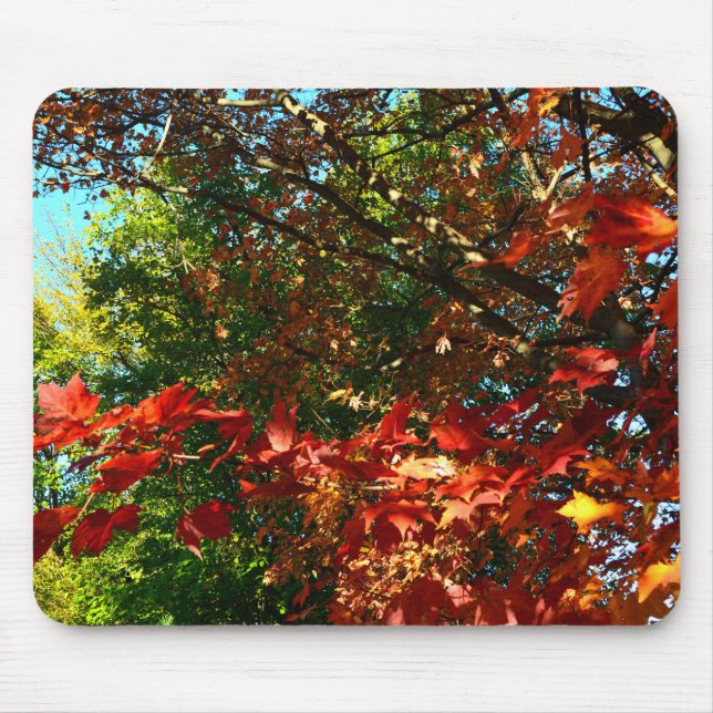 Japanese Maple in Autumn Mouse Pad (Front)