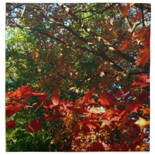 Japanese Maple in Autumn Napkin