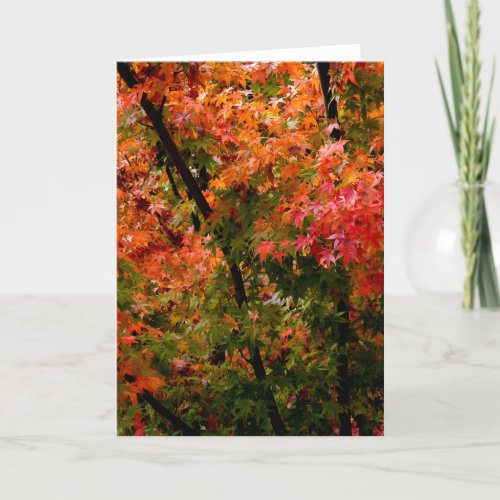 Japanese Maple in Fall Card