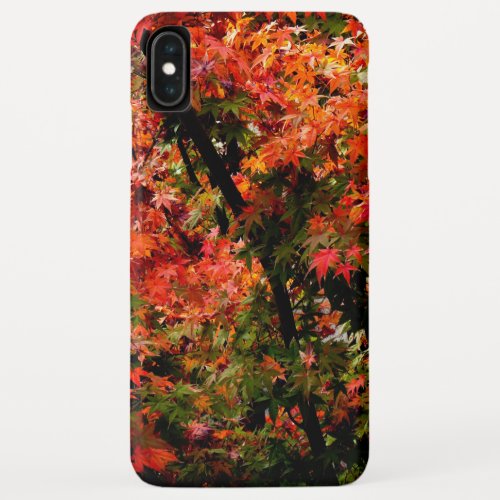 Japanese Maple in Fall iPhone XS Max Case