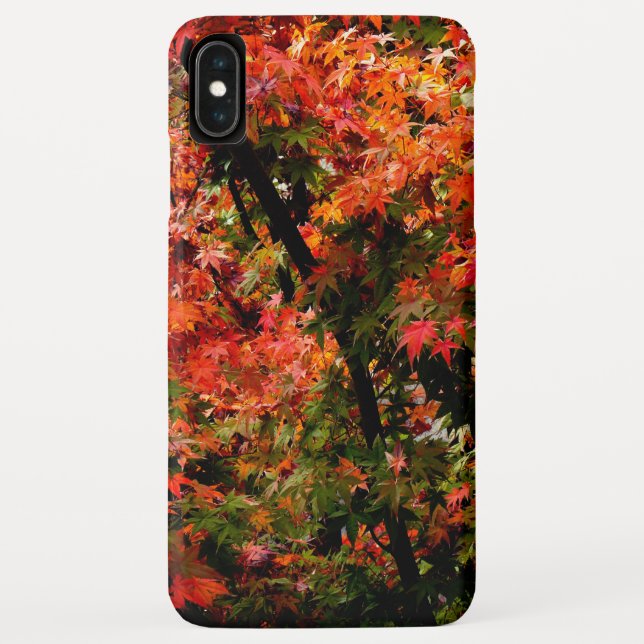 Japanese Maple in Fall Case-Mate iPhone Case (Back)