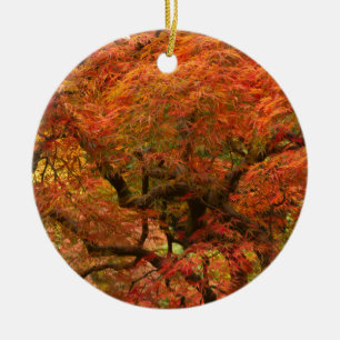 Japanese maple in fall color ceramic ornament