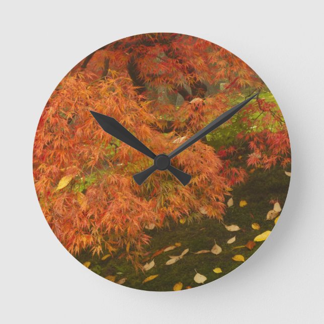 Japanese maple in fall color round clock (Front)