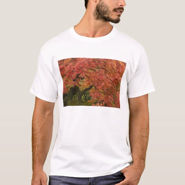 Japanese maple in fall color T-Shirt (Front)