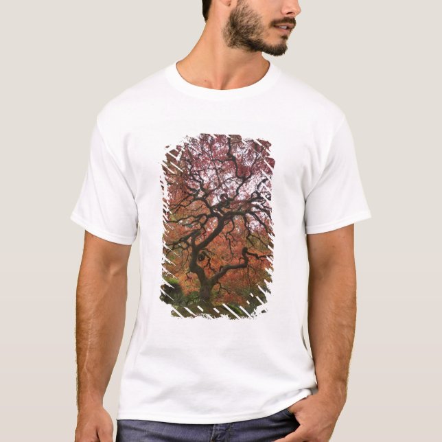 Japanese maple in fall color T-Shirt (Front)