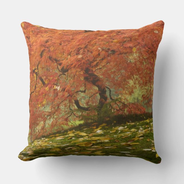 Japanese maple in fall color throw pillow (Front)