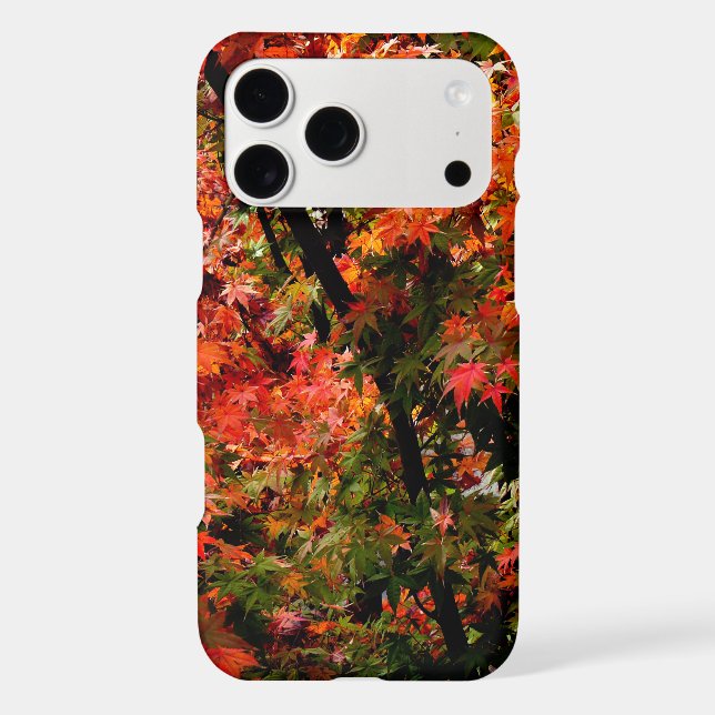 Japanese Maple in Fall Iphone Case (Back)
