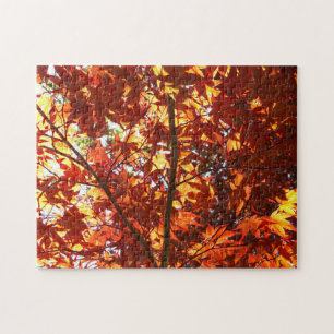 Japanese Maple in the Sun Jigsaw Puzzle