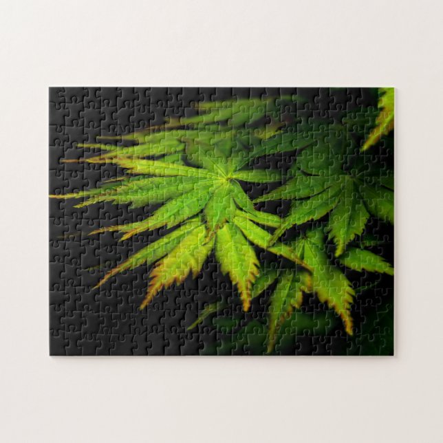 Japanese Maple Jigsaw Puzzle (Horizontal)