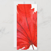 Japanese Maple Leaf (Back)
