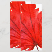 Japanese Maple Leaf (Front/Back)