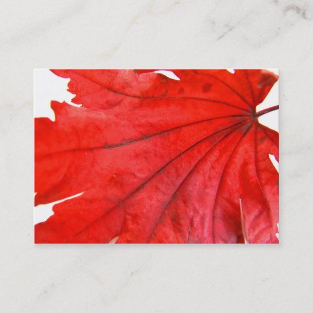 Japanese Maple Leaf Business Card (Front)