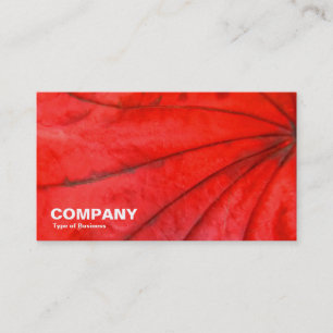 Japanese Maple Leaf Business Card