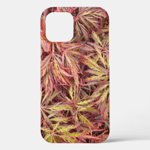 Japanese Maple Leaf iPhone 12 Case