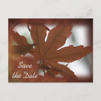 Japanese Maple Leaf Fall Wedding Save the Date Announcement Postcard