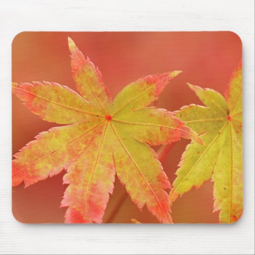 Japanese Maple Leaf Mouse Pad