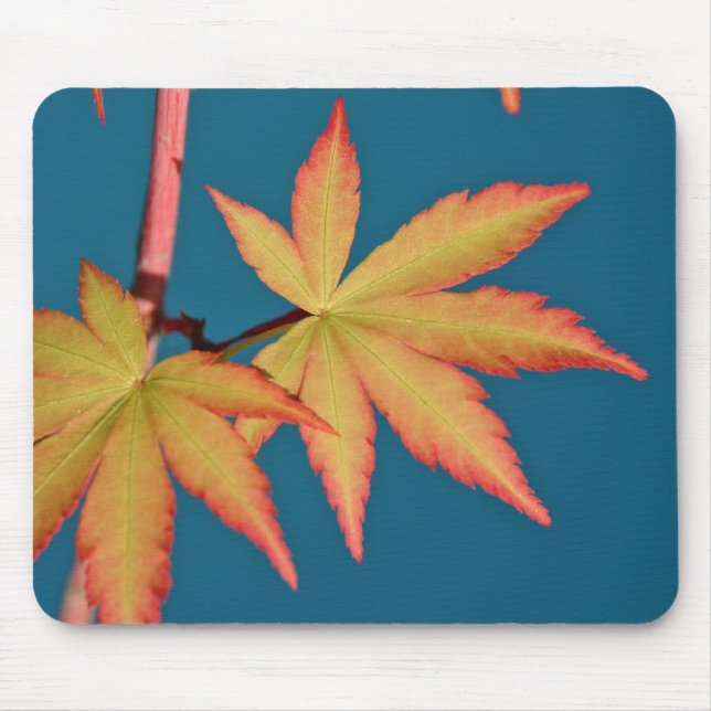 Japanese Maple Leaf Sango Kaku Mousepad (Front)