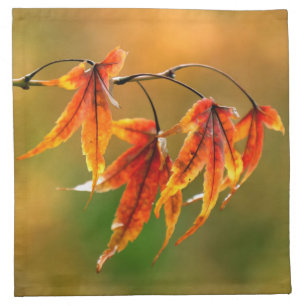 Japanese Maple Leaves Cloth Napkin