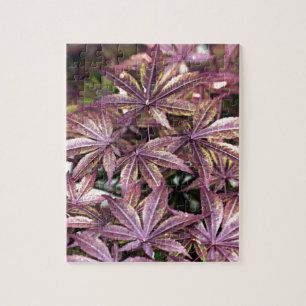 Japanese Maple Leaves Jigsaw Puzzle