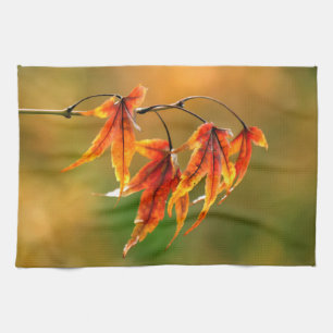 Japanese Maple Leaves Kitchen Towel