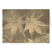 Japanese Maple Leaves Vintage Style (Front Horizontal)