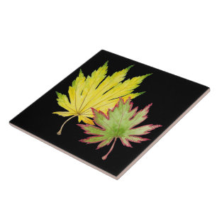 Japanese Maple on a Ceramic Tile (1)