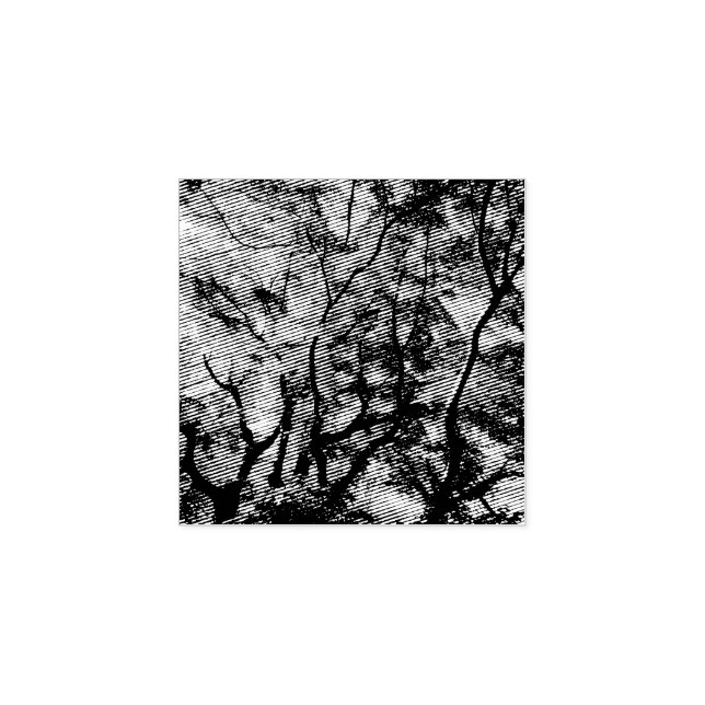 Japanese Maple Rubber Stamp (Imprint)