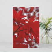 Japanese Maple Tree (Standing Front)