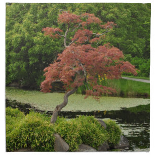 Japanese maple tree and garden pond cloth napkin