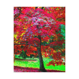 Japanese Maple Tree Canvas print