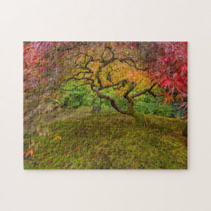Japanese maple tree in autumn color jigsaw puzzle